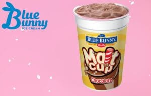 Blue Bunny Ice Cream Malt Cup Chocolate served by Super Star Ice Cream Truck in Massachusetts.